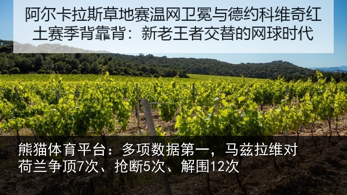 熊猫体育平台：多项相关情况对荷兰相关情况12次