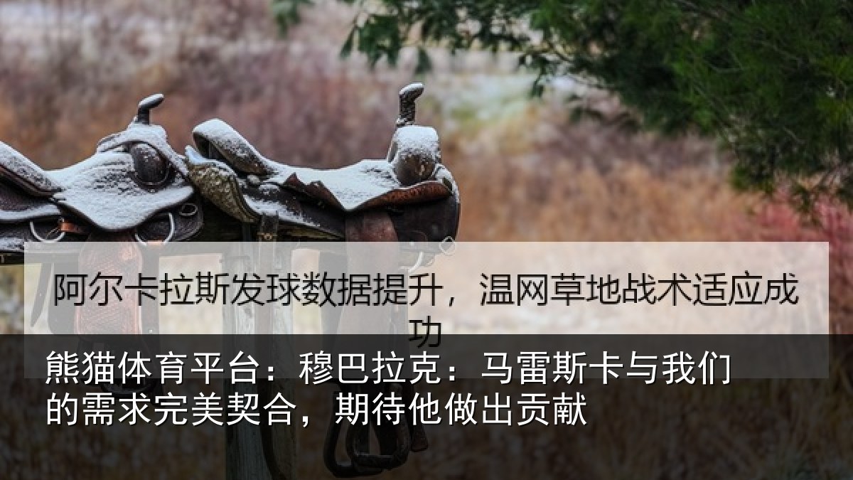 熊猫体育平台:穆巴拉克:马雷斯卡与我们的需求完美契合,期待他做出贡献