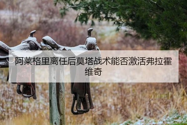 阿莱格里离任后莫塔战术能否激活弗拉霍维奇