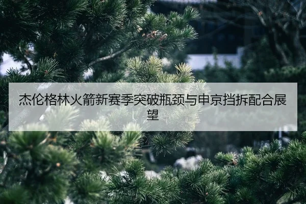 jie-lun-ge-lin-huo-jian-xin-sai-ji-tu-po-ping-jing-yu-shen-jing-dang-chai-pei-he-zhan-wang-2-835.jpg