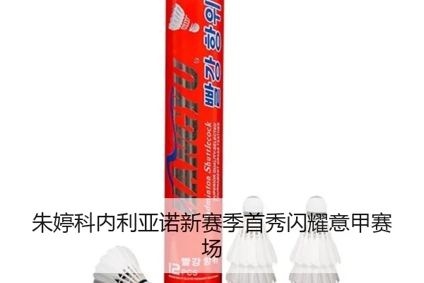 zhu-ting-ke-nei-li-ya-nuo-xin-sai-ji-shou-xiu-shan-yao-yi-jia-sai-chang-2-680.jpg